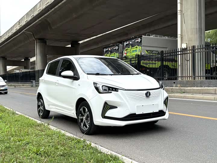 Фото 3 - Changan BenBen E-Star