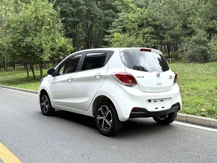 Фото 4 - Changan BenBen E-Star
