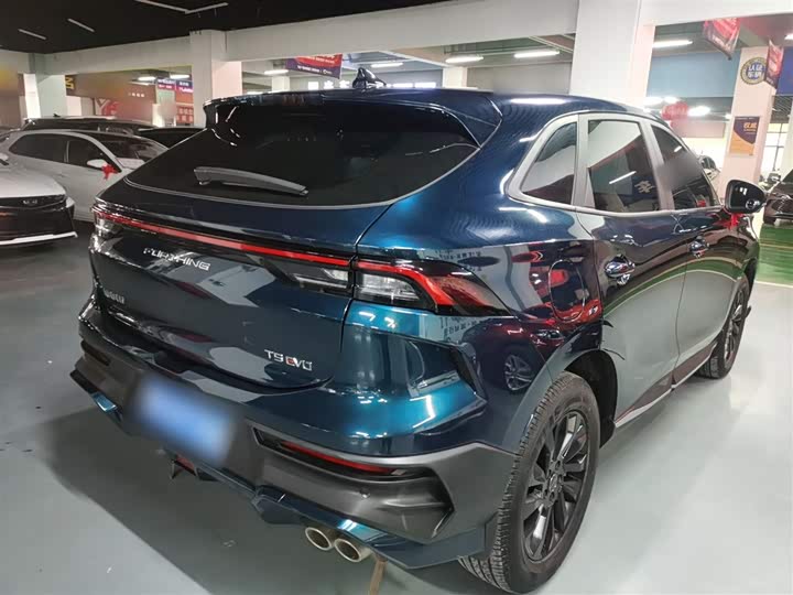 Фото 7 - Dongfeng Forthing T5 EVO