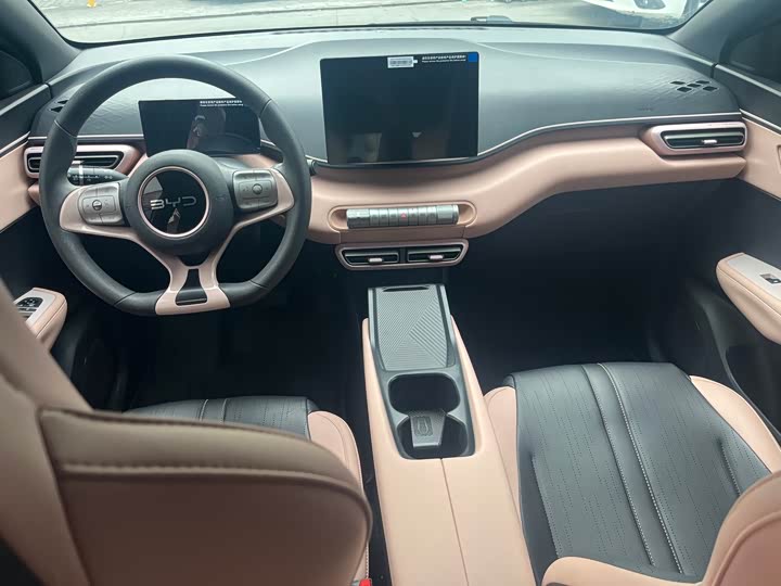 Фото 4 - BYD Seagull