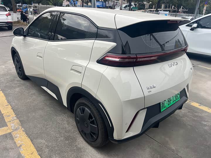 Фото 7 - BYD Seagull