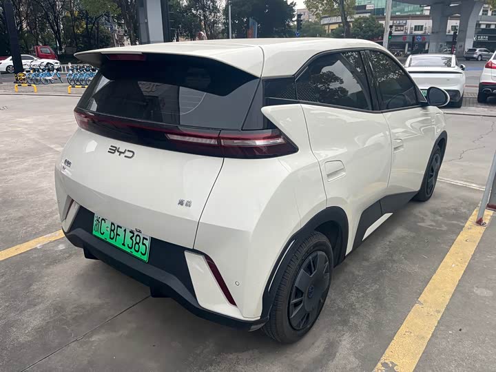 Фото 8 - BYD Seagull