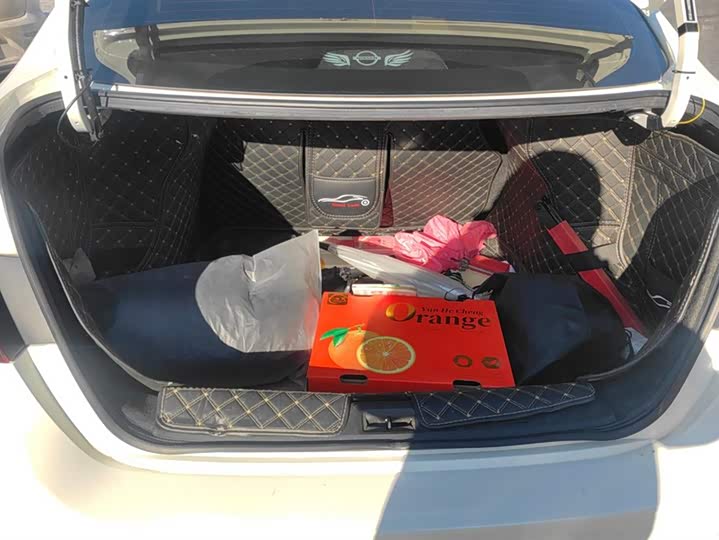 Фото 4 - Nissan Sylphy