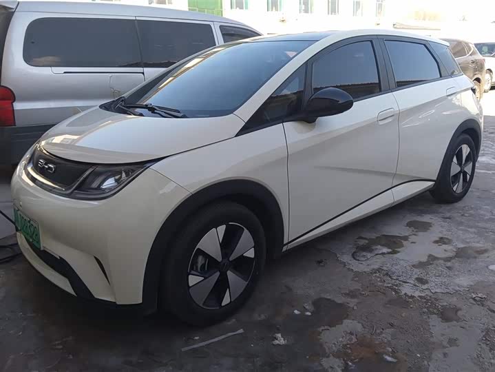 Фото 1 - BYD Dolphin