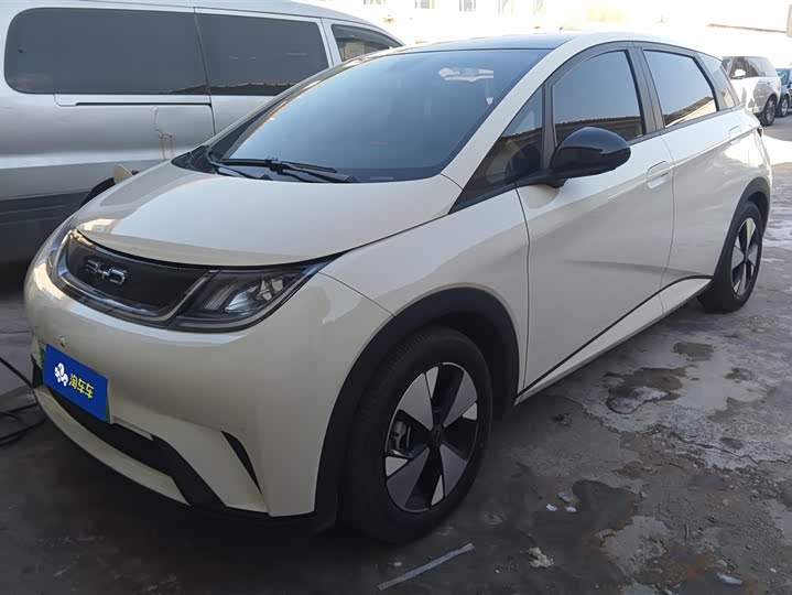 Фото 2 - BYD Dolphin