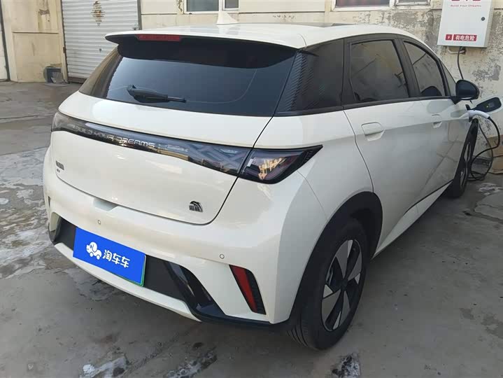 Фото 3 - BYD Dolphin