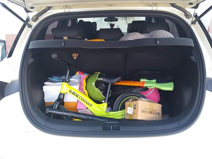 Фото 4 - BYD Dolphin