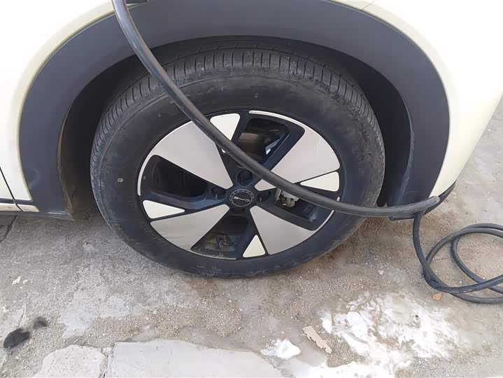 Фото 6 - BYD Dolphin