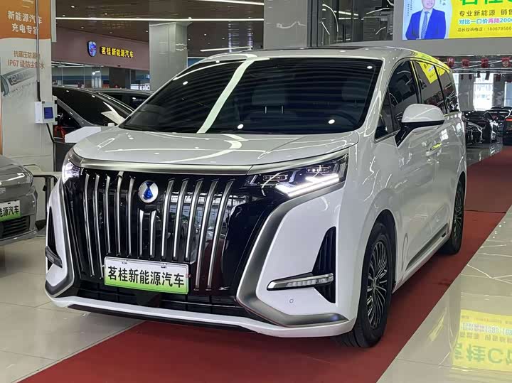 Фото 1 - Denza D9