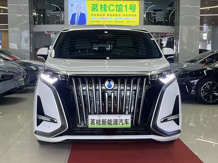 Фото 2 - Denza D9