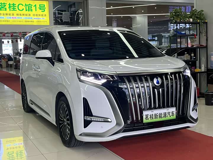 Фото 3 - Denza D9