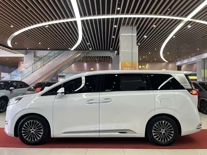 Фото 4 - Denza D9