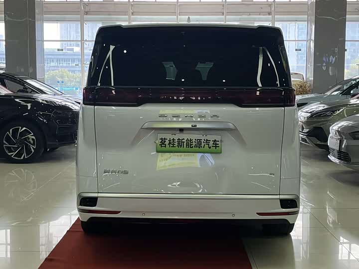 Фото 9 - Denza D9