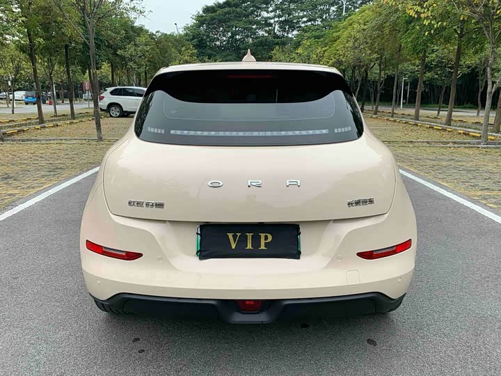 Фото 5 - Ora Good Cat (03)