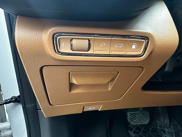 Фото 5 - GAC Trumpchi ES9