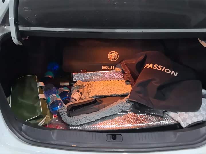 Фото 4 - Buick Excelle GT