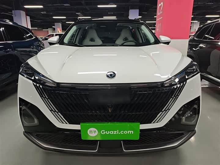 Фото 3 - Dongfeng Aeolus Haohan