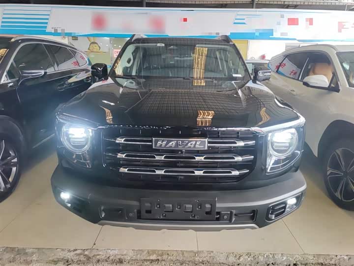 Фото 3 - Haval Dargo