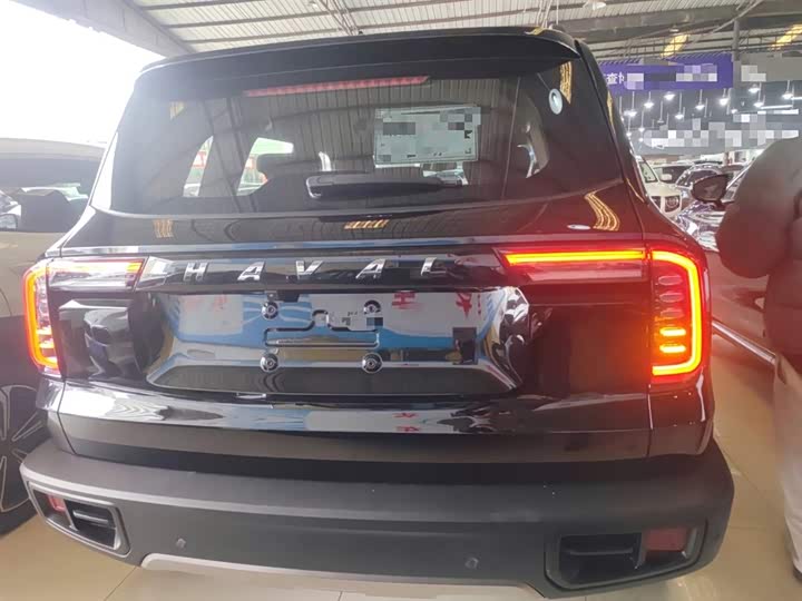 Фото 6 - Haval Dargo