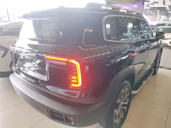 Фото 7 - Haval Dargo