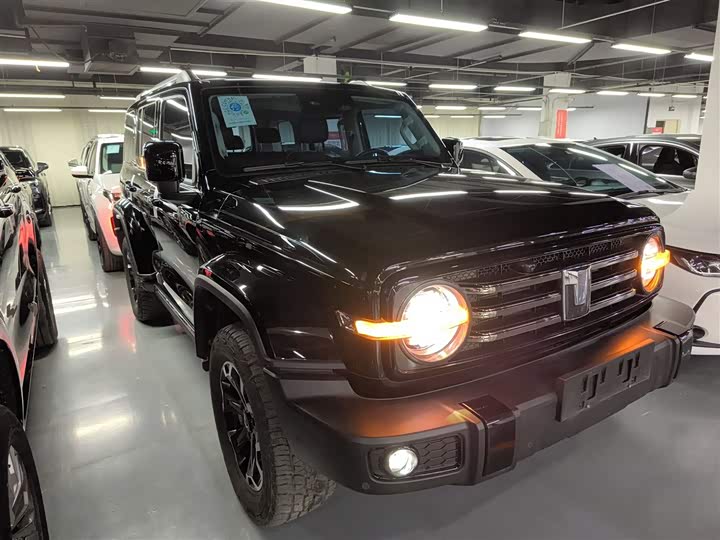 Фото 4 - Tank 300 Hybrid