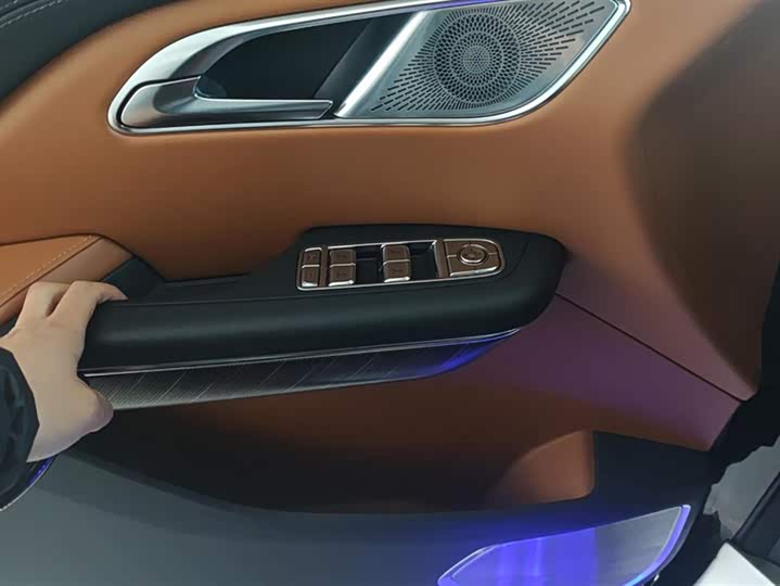 Фото 7 - Hongqi HQ9