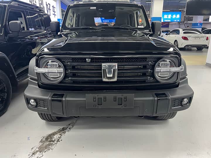 Фото 2 - Tank 300