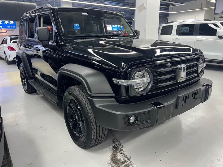 Фото 3 - Tank 300