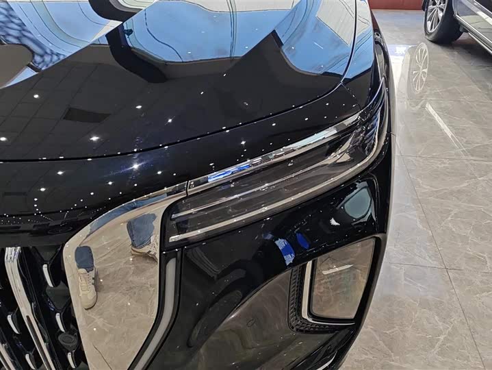 Фото 5 - Hongqi H9