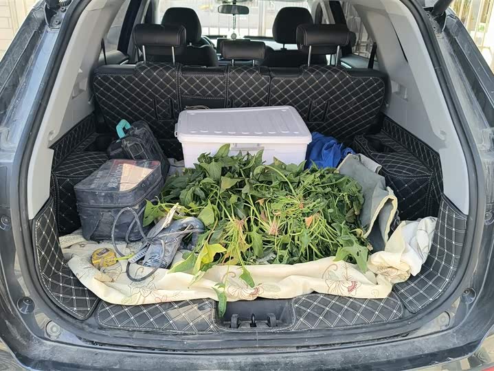 Фото 4 - Chery Tiggo 8