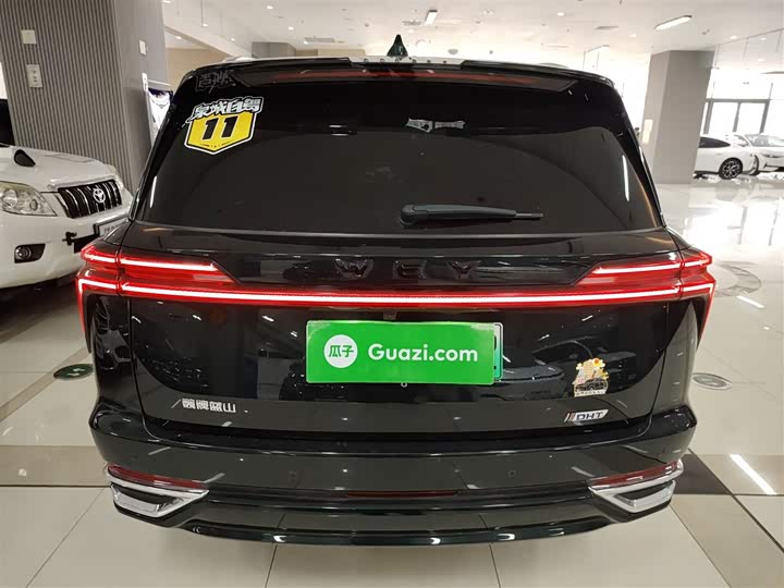 Фото 6 - Wey Lanshan