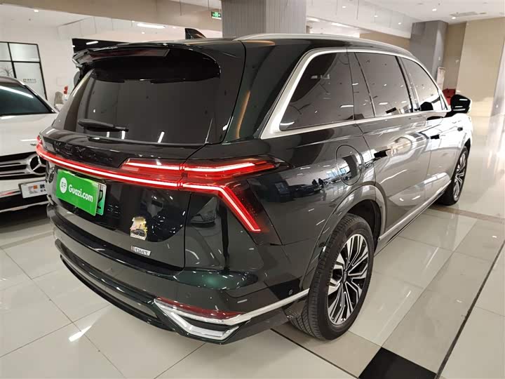 Фото 7 - Wey Lanshan