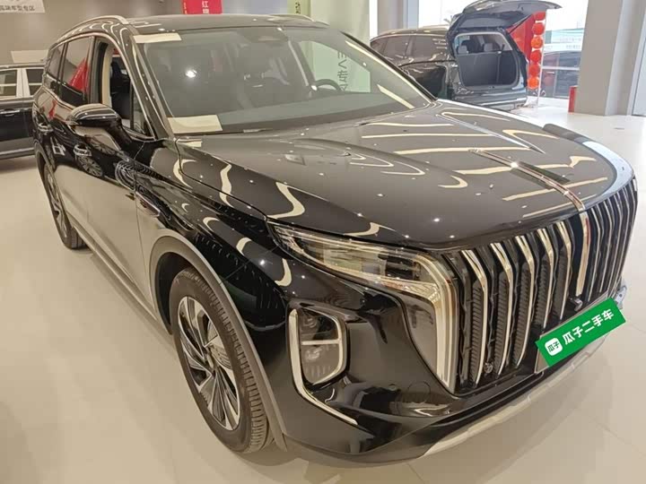 Фото 4 - Hongqi HS7 Hybrid