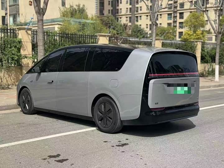 Фото 7 - LiXiang Mega