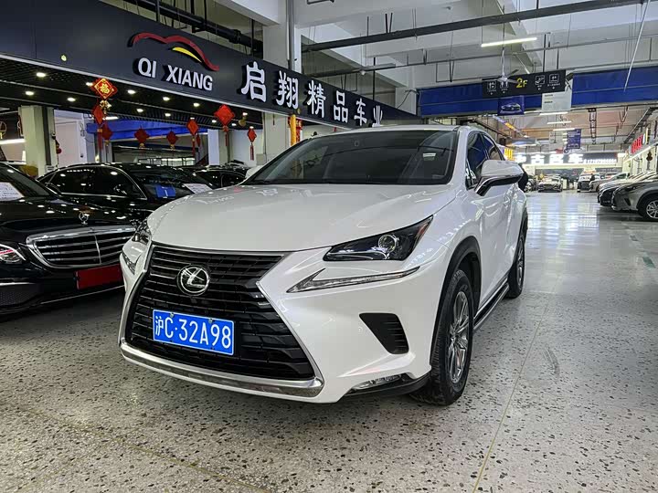 Фото 1 - Lexus NX
