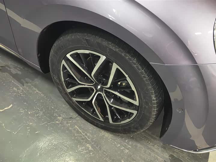 Фото 6 - Ora Lightning Cat (07)