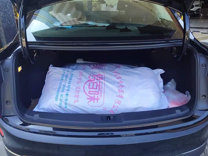 Фото 4 - Hongqi E-QM5