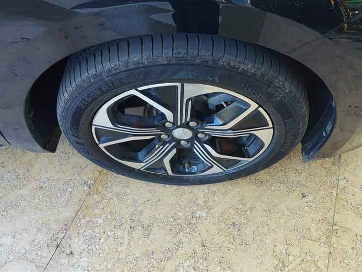 Фото 6 - Hongqi E-QM5