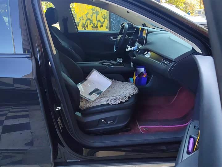 Фото 8 - Hongqi E-QM5