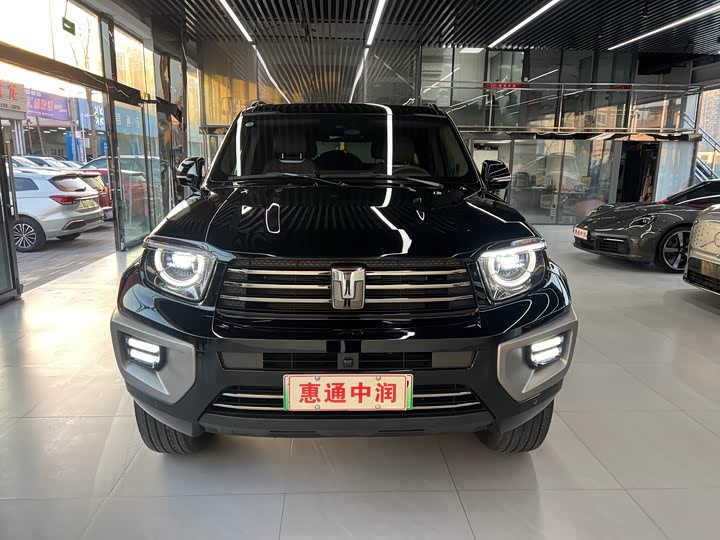 Фото 3 - Tank 700 Hybrid