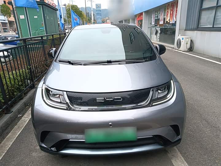 Фото 3 - BYD Dolphin