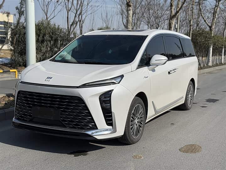 Фото 1 - Buick GL8 Hybrid