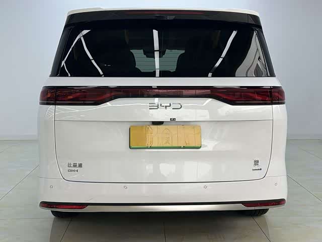 Фото 5 - BYD Xia