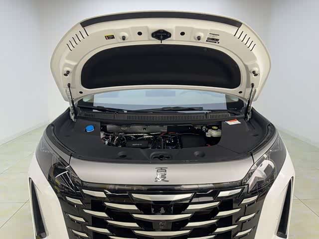 Фото 9 - BYD Xia