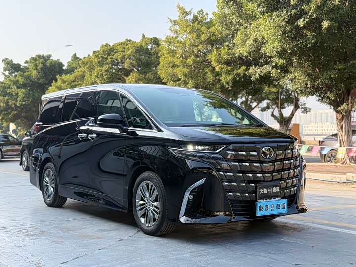 Фото 3 - Toyota Alphard