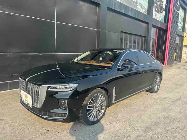 Фото 1 - Hongqi H9