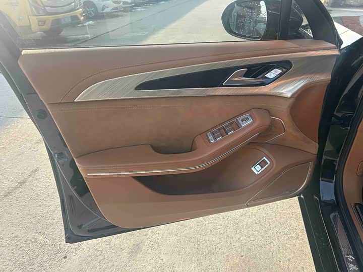 Фото 4 - Hongqi H9