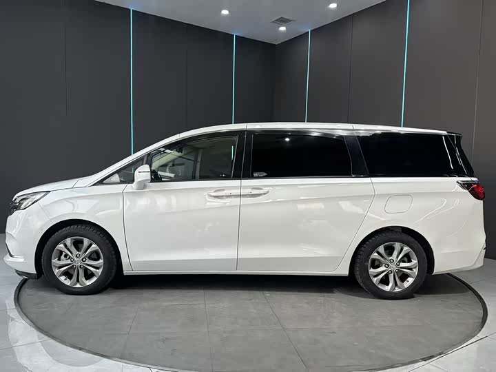 Фото 4 - Buick GL8 ES