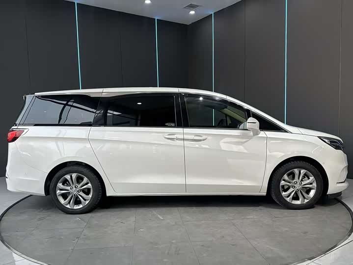 Фото 5 - Buick GL8 ES