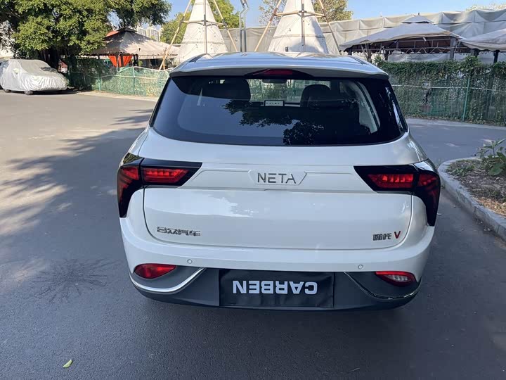 Фото 5 - Hozon V